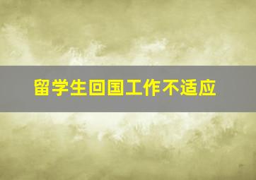 留学生回国工作不适应