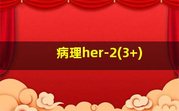 病理her-2(3+)