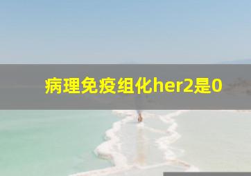 病理免疫组化her2是0