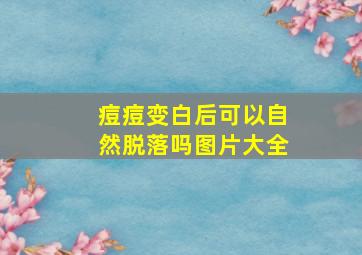 痘痘变白后可以自然脱落吗图片大全