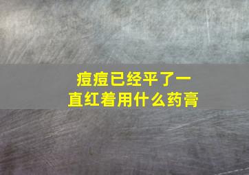 痘痘已经平了一直红着用什么药膏