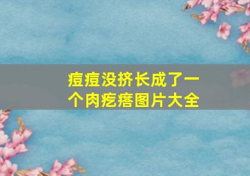 痘痘没挤长成了一个肉疙瘩图片大全