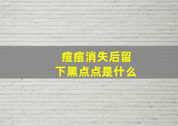 痘痘消失后留下黑点点是什么