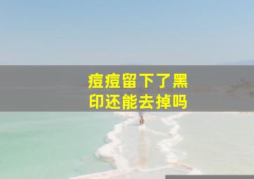 痘痘留下了黑印还能去掉吗