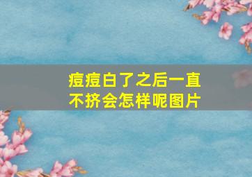 痘痘白了之后一直不挤会怎样呢图片