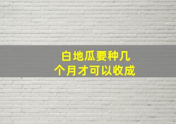 白地瓜要种几个月才可以收成