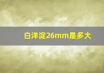 白洋淀26mm是多大