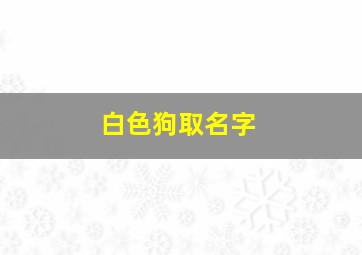 白色狗取名字