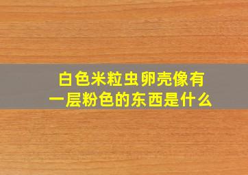 白色米粒虫卵壳像有一层粉色的东西是什么