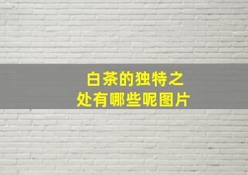 白茶的独特之处有哪些呢图片