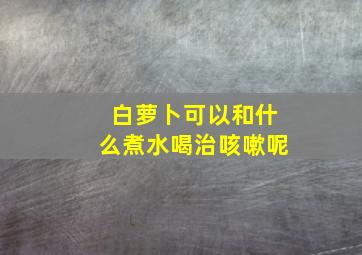 白萝卜可以和什么煮水喝治咳嗽呢