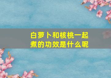 白萝卜和核桃一起煮的功效是什么呢