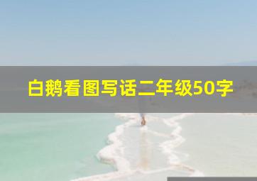 白鹅看图写话二年级50字