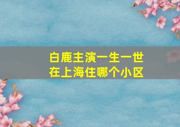 白鹿主演一生一世在上海住哪个小区