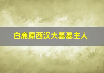 白鹿原西汉大墓墓主人