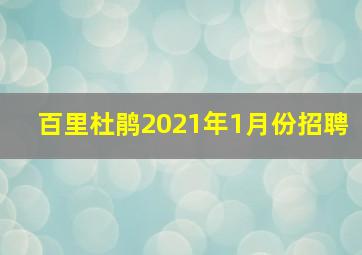 百里杜鹃2021年1月份招聘