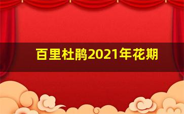 百里杜鹃2021年花期