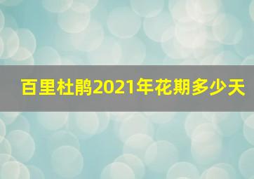 百里杜鹃2021年花期多少天