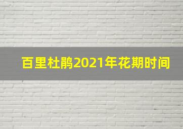 百里杜鹃2021年花期时间