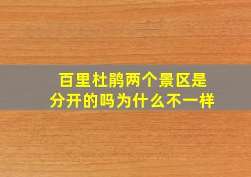 百里杜鹃两个景区是分开的吗为什么不一样