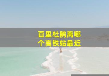 百里杜鹃离哪个高铁站最近