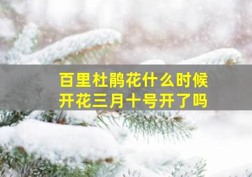 百里杜鹃花什么时候开花三月十号开了吗