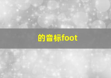 的音标foot