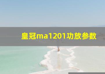 皇冠ma1201功放参数