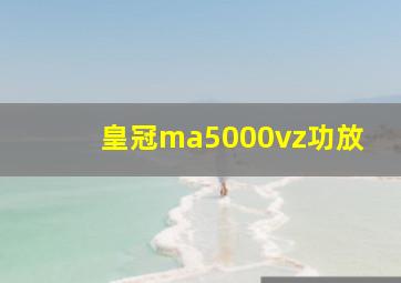 皇冠ma5000vz功放