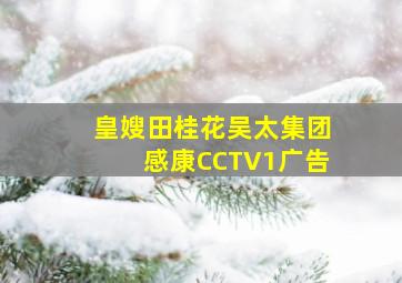 皇嫂田桂花吴太集团感康CCTV1广告