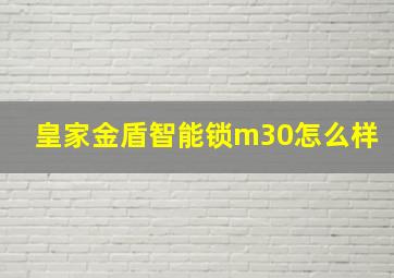 皇家金盾智能锁m30怎么样