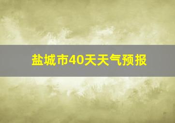 盐城市40天天气预报