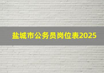 盐城市公务员岗位表2025