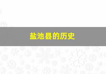 盐池县的历史