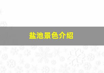 盐池景色介绍