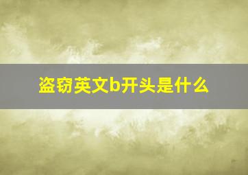 盗窃英文b开头是什么