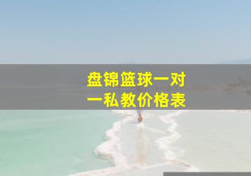 盘锦篮球一对一私教价格表