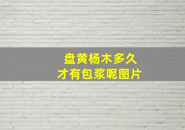 盘黄杨木多久才有包浆呢图片