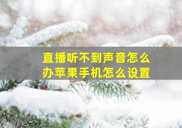 直播听不到声音怎么办苹果手机怎么设置