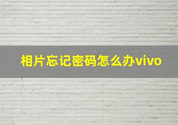 相片忘记密码怎么办vivo