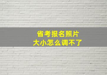 省考报名照片大小怎么调不了