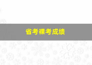 省考裸考成绩