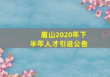 眉山2020年下半年人才引进公告