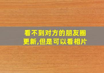 看不到对方的朋友圈更新,但是可以看相片