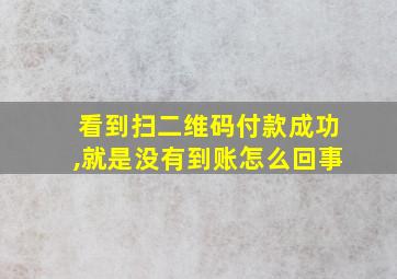 看到扫二维码付款成功,就是没有到账怎么回事