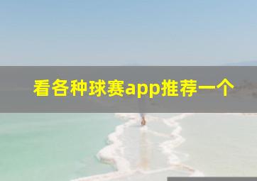 看各种球赛app推荐一个