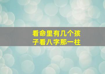 看命里有几个孩子看八字那一柱