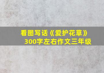 看图写话《爱护花草》300字左右作文三年级