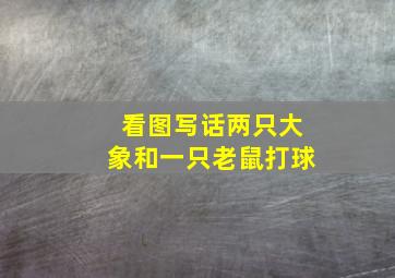 看图写话两只大象和一只老鼠打球