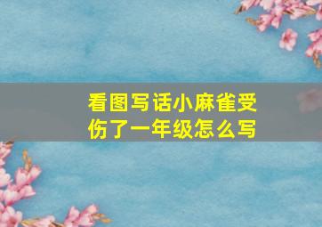 看图写话小麻雀受伤了一年级怎么写